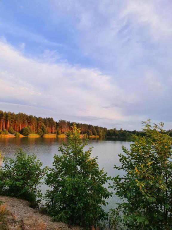 Agroturystyka U Siwego Rokitki  Экстерьер фото