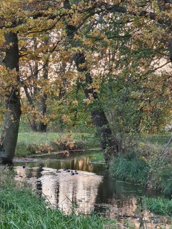 Agroturystyka U Siwego Rokitki  Экстерьер фото